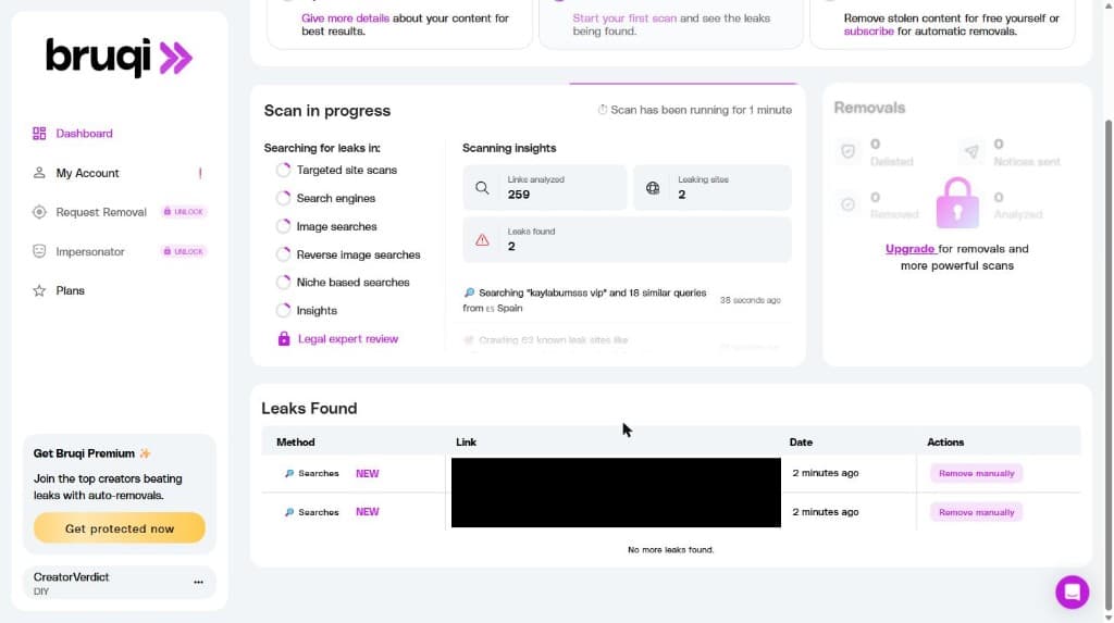 Bruqi scan in progress showing 2 leaks found with Remove manually actions and URLs redacted